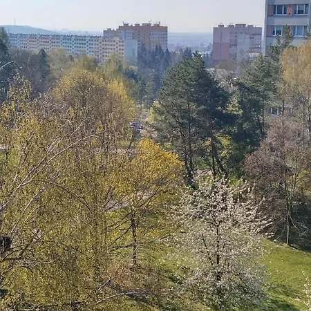 Flat Lesna