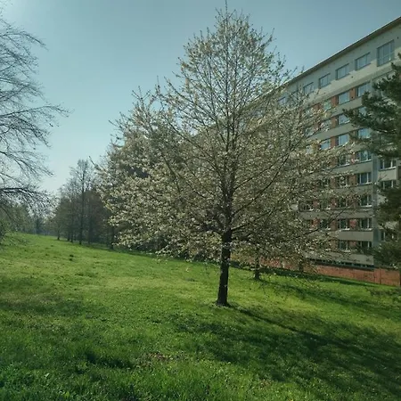 Flat Lesna